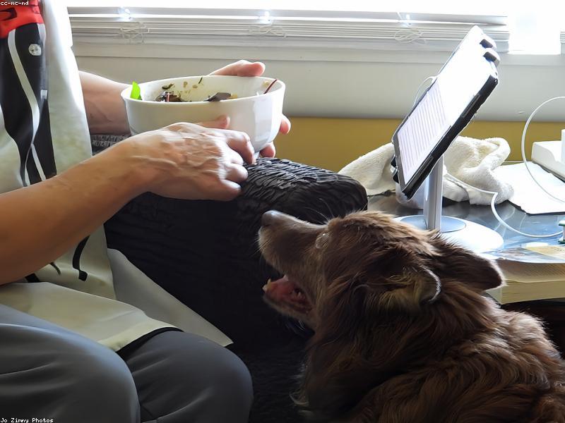 Balkan Serbian Vegan Dish